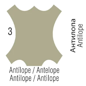 Teinture Cuir Tarrago Color Dye Antilope 003 – Kit 25ml